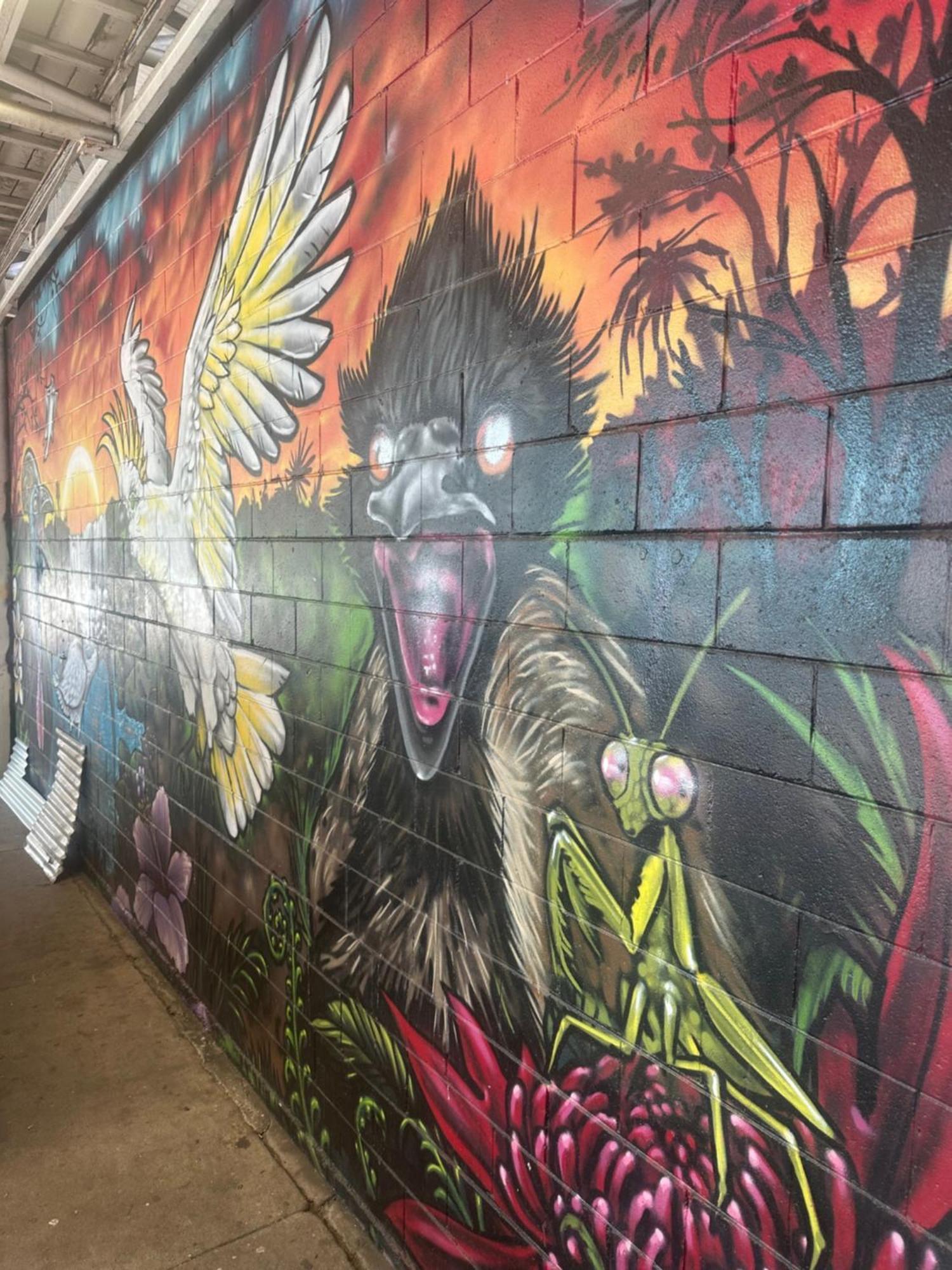 Habitat Backpackers Vandrerhjem Brisbane Eksteriør bilde